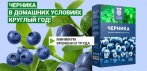 На «Ягодный урожай - черника» ягоды дома круглый год!