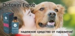 На «Detoxin Forte» средство от паразитов. Эффективность доказана!