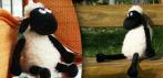 На симпатичного плюшевого барашка Шона (25 см)