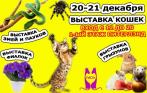 «ЗооШоу» 20 и 21 декабря от клуба любителей кошек «ФелиСити»! Всего от 50 р. за билет! Кошки, шиншиллы, растения-хищники и не только