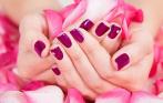 Роскошный маникюр с покрытием SHELLAC за 700 руб. в салоне Барселона