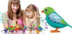 На интерактивную робоптичку «Digibirds»