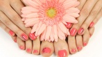 Маникюр, педикюр, массаж рук или стоп, покрытие лаком и Shellac в салоне Platinum со скидкой