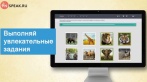 Скидка на доступ к онлайн курсу разговорного английского языка In Speak на один год