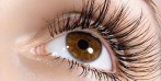 Наращивание ресниц шелком, норкой или соболем на выбор в студии Ассоль.