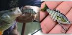 Рыбка-приманка для рыбалки (5
