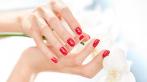 До пяти процедур маникюра и педикюра с покрытием Shellac со скидкой 80% в салоне красоты 