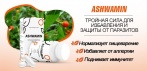 На капсулы для лечения и профилактики заболеваний паразитами Ashwamin.