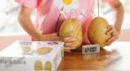 Часы обучающие Potato Clock 599 руб. вместо 1200 руб. СКИДКА 50%. Купон -  0 руб !!!
