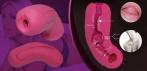 На японский брендовый мастурбатор «ORAL SEX SIMULATOR» 1в1
