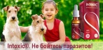 На антигельминтное средство «Intoxic». У паразитов нет шансов!
