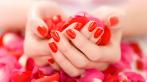Маникюр, педикюр, Spa для ручек и ножек, покрытие Shellak. В любом из двух салонов Студии красоты Кокетка –77%