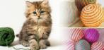 На игрушку для домашних питомцев «Клубок»