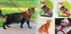 На нейлоновую мягкую шлейку для кошек (котят) 1,2 м