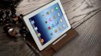 Защитный чехол для iPad 2/4/3, 880 руб. вместо 2000 руб. СКИДКА 56%. Купон -  0 руб !!!