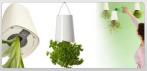 На необычные цветочные горшки Sky Planter, которые висят 