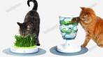 Игрушки для Ваших питомцев. СКИДКА 10%. Купон - 0 руб !!!