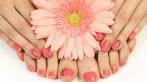 Маникюр и педикюр, массаж рук и стоп, покрытие лаком или Shellac в центре красоты Platinum со скидкою.