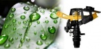 На регулируемую форсунку-распылитель воды
