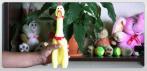 На игрушку-антистресс орущую курицу. Звезда YouTube!