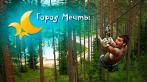 Прохождение детской трассы для одного ребенка 6-13 лет, взрослой трассы или VIP-билеты со скидкой
