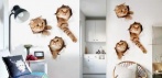 На 3D стикеры 