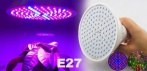 На фитолампу со стандартным цоколем E27
