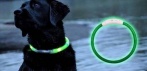 На светящийся LED ошейник с разядкой от USB