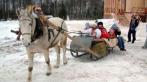Загородный отдых в отеле Сафари Парк для двоих или компании до 8 человек. Скидка до 54%