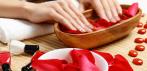 На spa-маникюр и spa-педикюр с цветным покрытием или Shellac в студии «FashionLAB». Порадуйте себя!