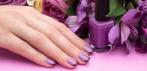 На spa-маникюр и spa-педикюр с цветным покрытием и покрытием Shellac в салоне красоты «Cappuccino».