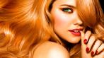 SPA-процедура от LABEL Cosmetics, 3D экранирование волос и Стрижка горячими ножницами. Скидка до 72%.