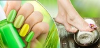 На spa-маникюр и spa-педикюр с цветным покрытием или покрытием Shellac в студии Garden.