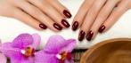 На ногтевой сервис в салоне «Сливки»: маникюр, педикюр, покрытия Shellac и VINYLUX, лечение IBX.