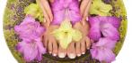 На spa-маникюр и spa-педикюр с цветным покрытием или покрытием Shellac в студии Garden.