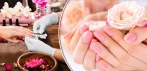 На комплекс для рук в салоне красоты «Ассоль»: spa-маникюр, массаж кистей, лечебное покрытие.