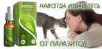На Intoxic+ - очищение и защита от паразитов за 1 месяц!