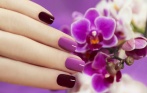 Маникюр и педикюр, SHELLAC со скидкой до 50% в салоне красоты «Эфталия»! От 275 р.! 5 минут от метро Парк Победы