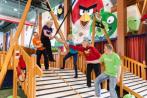 Скидка 55% на входной билет в парк активного отдыха Angry Birds Activity Park!