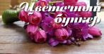 999 р. за букет с медведем, 1050 р. за 15 роз 70 см, 1200 р. за 15 хризантем в цветочной лавке «Цветочный бункер»!