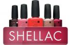 Прочные и яркие ноготки! Скидки до 70% на маникюр и педикюр с покрытием Shellac или обычным гель-лаком в салоне красоты Белая Лилия