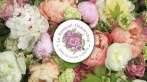 Скидки до 60% на букеты в цветочной лавке LE BOUQUET. Ароматные пионы из Голландии! 1760 р. за букет из 11 пионов в фирменной упаковке