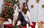 Скидки до 70% на новогодние фотосессии! 900 р. за индивидуальную фотосессию, 1390 р. за фотосессию для двоих, 2500 р. за фотосессию с хаски на выбор в фотостудии Infanta
