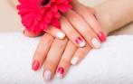 140 р. за Shellac, 1200 р. за маникюр + педикюр + Shellac и многое другое в салоне красоты «Весна»