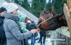 Скидки до 80% на посещение «Усадьбы Бахаревых»! 400 р. за посещение контактного зоопарка, 900 р. за конную прогулку, 2500 р. за «Тур выходного дня» для двоих