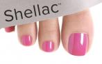 Педикюр со стойким покрытием SHELLAC со скидкой 50% в салоне Барселона