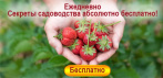 10 000 советов дачников по садоводству и огородничеству в уникальной рассылке.